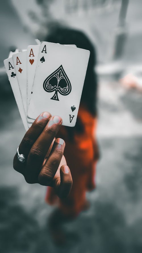Jellybeancasino Promo Codes 2026