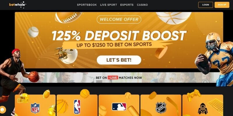Jellybeancasino Tanpa Deposit 2026